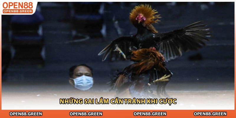 Những sai lầm cần tránh khi cược