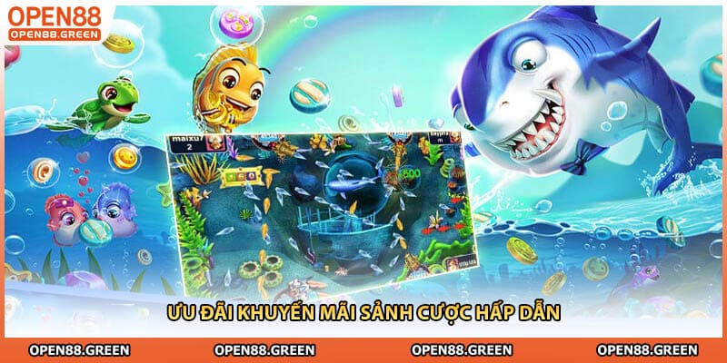 Ưu đãi khuyến mãi sảnh cược hấp dẫn